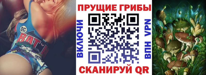 Псилоцибиновые грибы ЛСД  Михайловка 