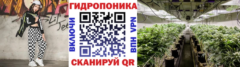 Канабис сатива Михайловка